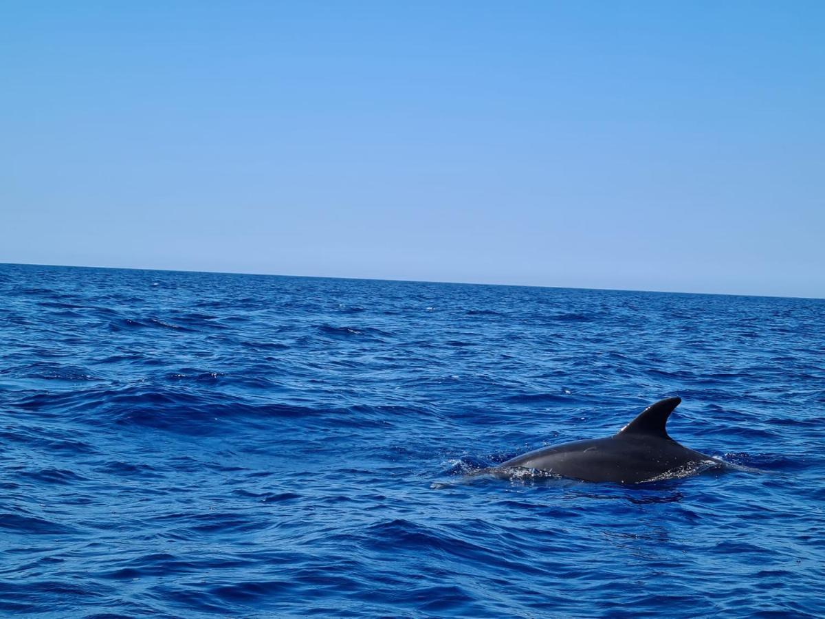 Bed and Breakfast Sole Mare Sale Torre Nubia Екстер'єр фото